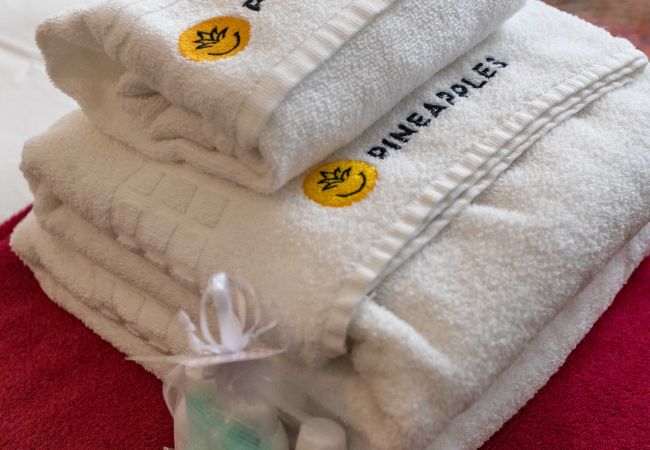 Apartamento en Rio de Janeiro - VP101A (Zona1) Apartamento en Rio de Janeiro - VP101A (Zona1)