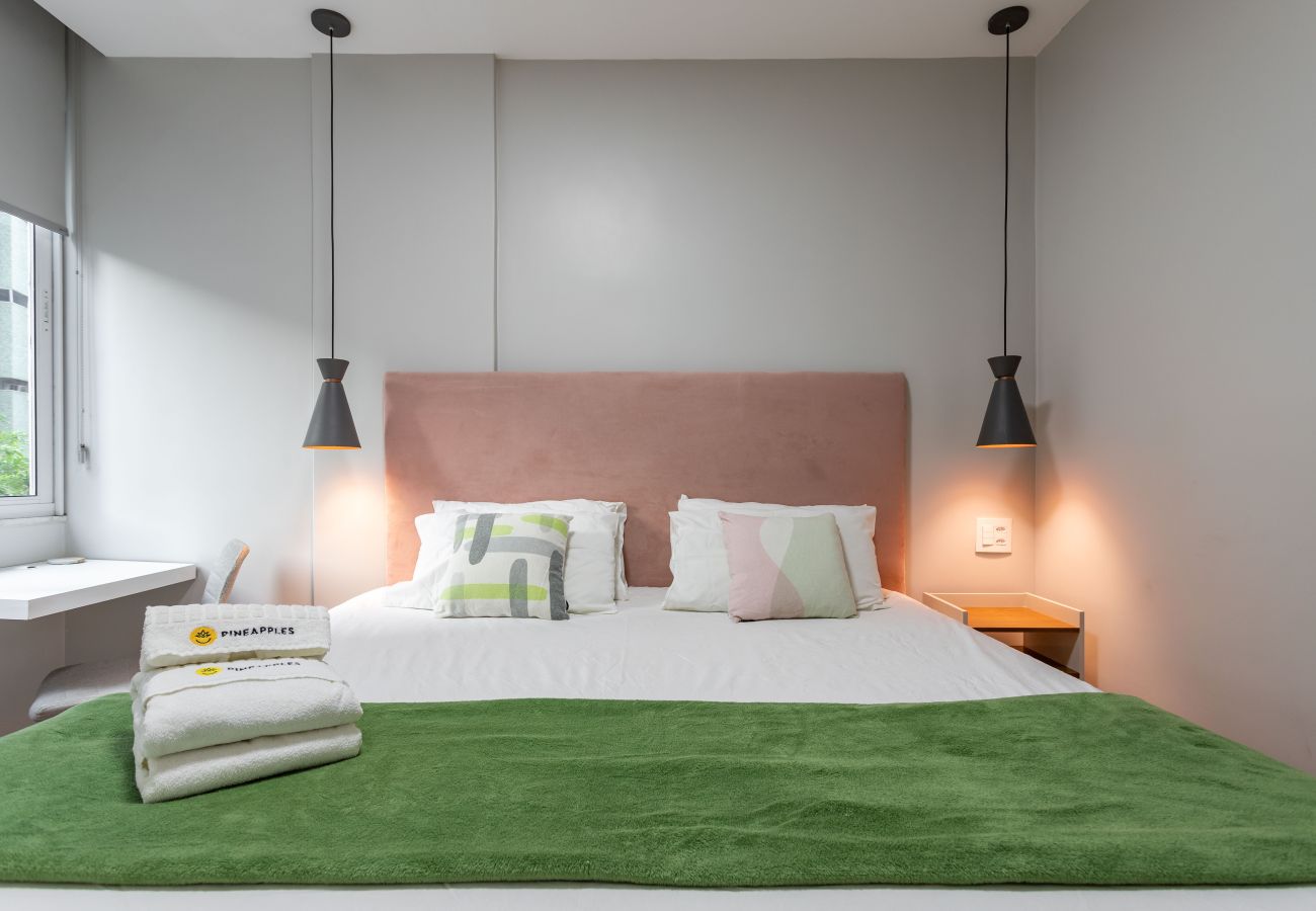 Apartamento en Rio de Janeiro - BI204 (Zona2)