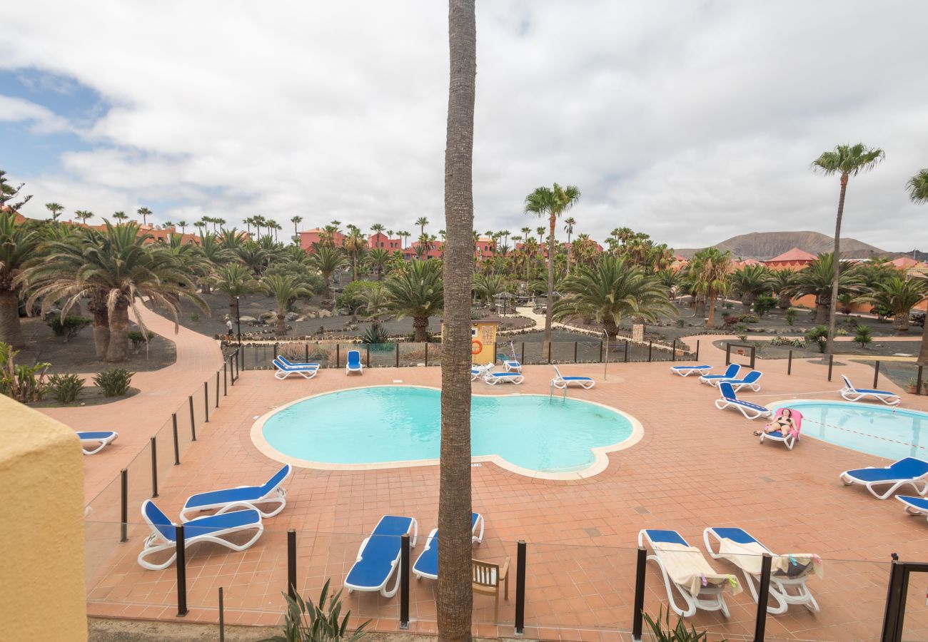 Apartamento en Corralejo - Apartamentos Oasis Royal Corralejo F312