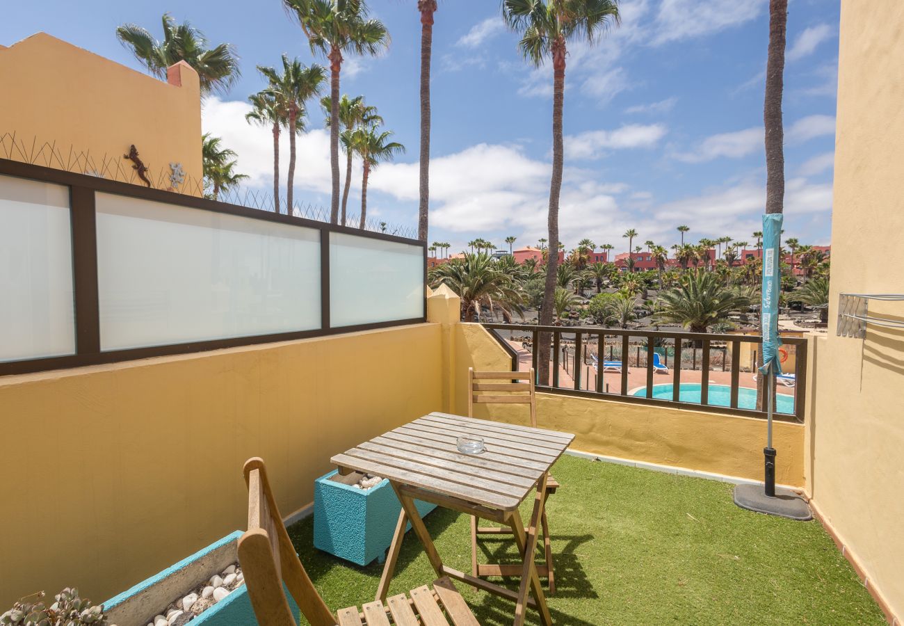 Apartamento en Corralejo - Apartamentos Oasis Royal Corralejo F312