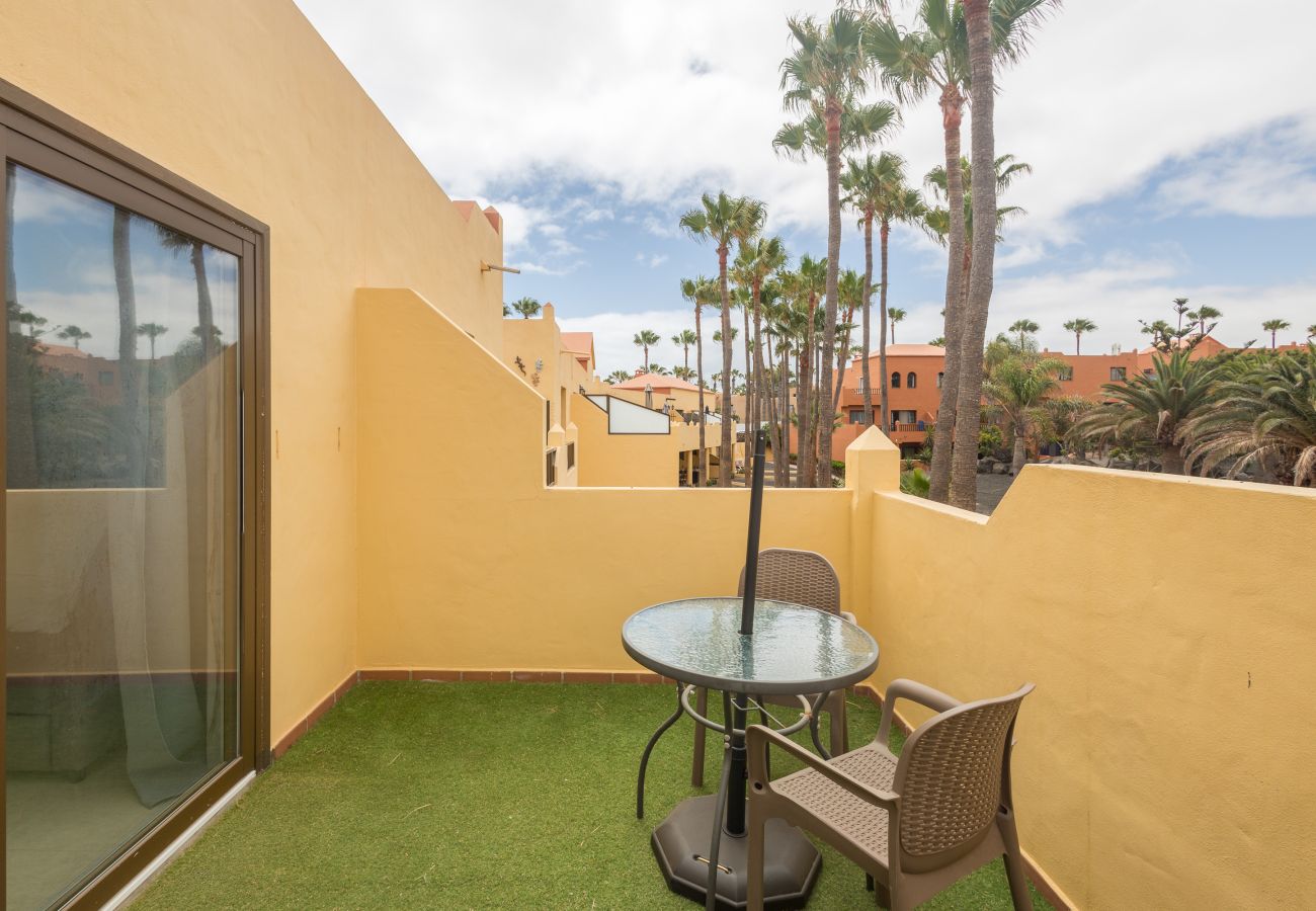 Apartamento en Corralejo - Apartamentos Oasis Royal Corralejo F312