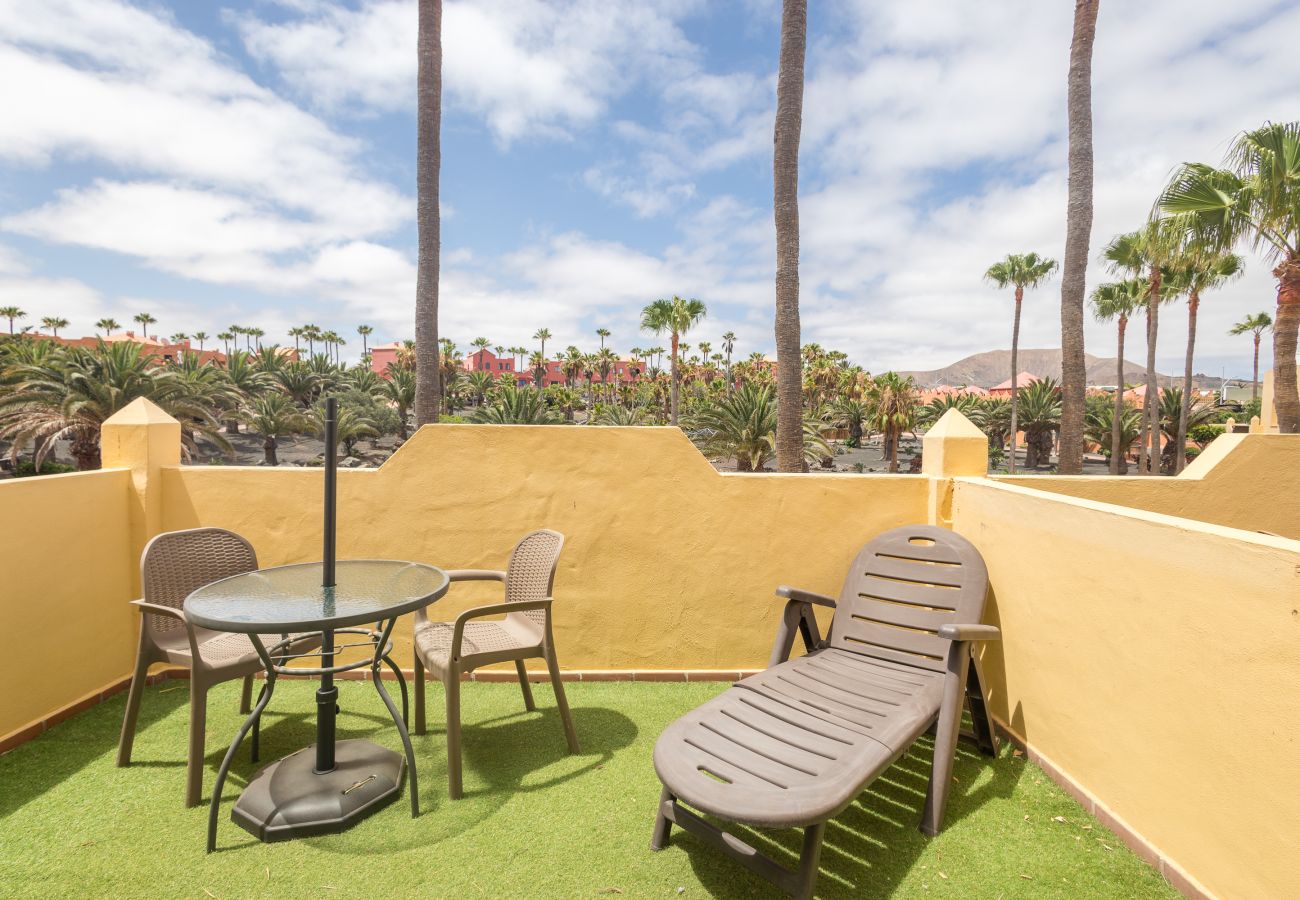 Apartamento en Corralejo - Apartamentos Oasis Royal Corralejo F312