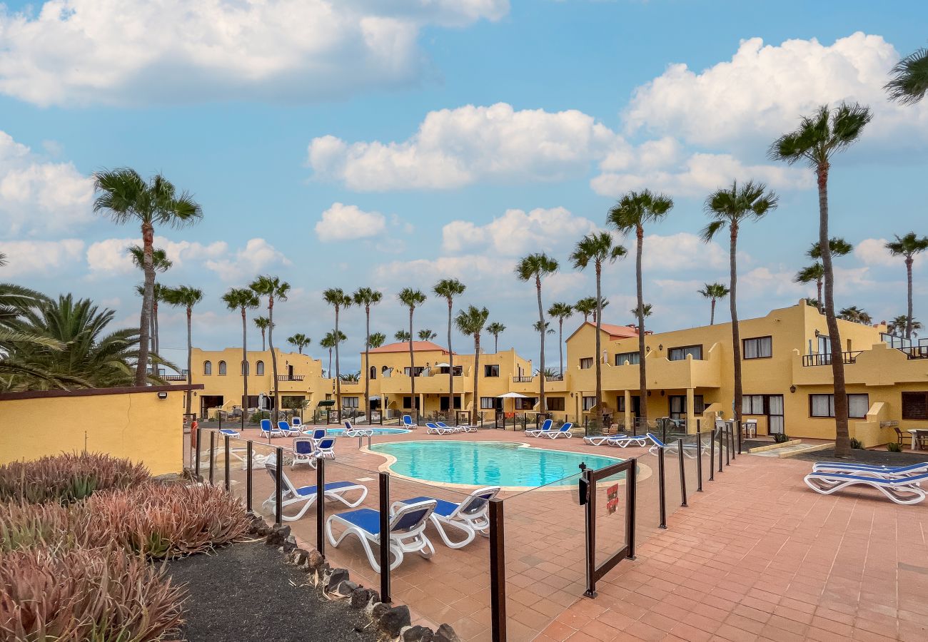 Apartamento en Corralejo - Apartamentos Oasis Royal Corralejo F312