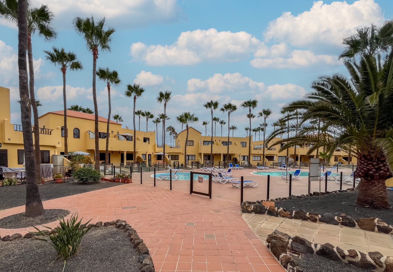 Apartamento en Corralejo - Apartamentos Oasis Royal Corralejo F312