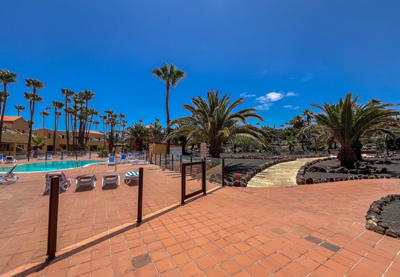 Apartamento en Corralejo - Apartamentos Oasis Royal Corralejo F312