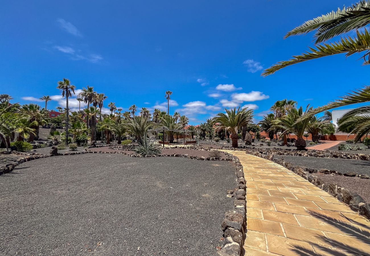 Apartamento en Corralejo - Apartamentos Oasis Royal Corralejo F312