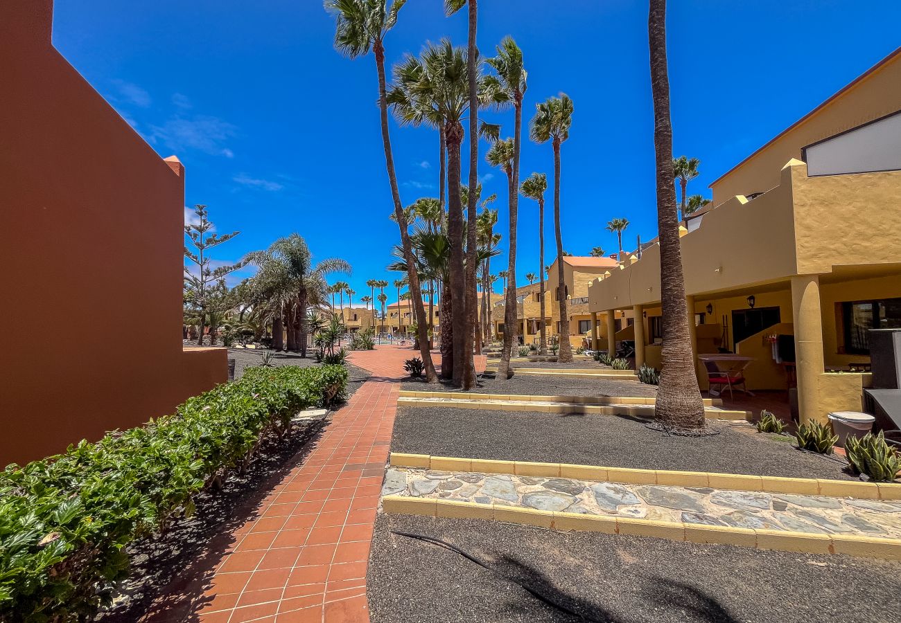 Apartamento en Corralejo - Apartamentos Oasis Royal Corralejo F312