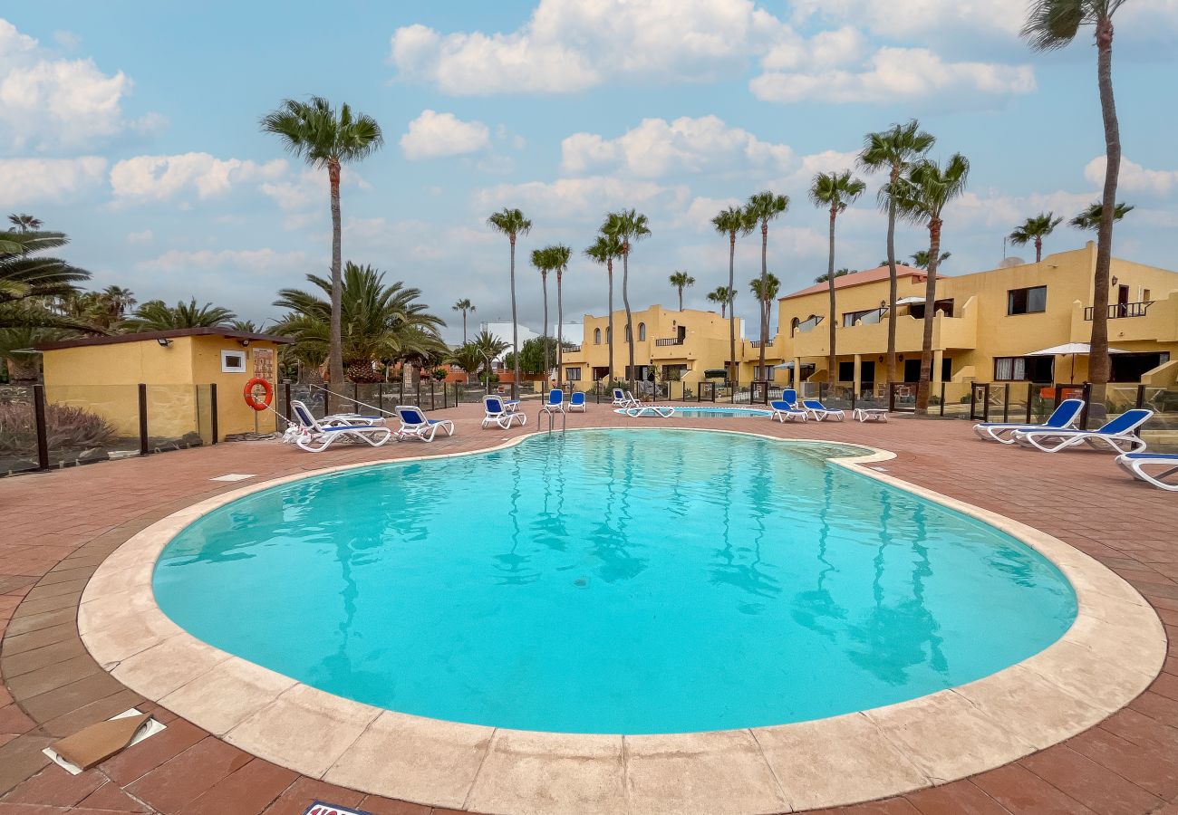 Apartamento en Corralejo - Apartamentos Oasis Royal Corralejo F312