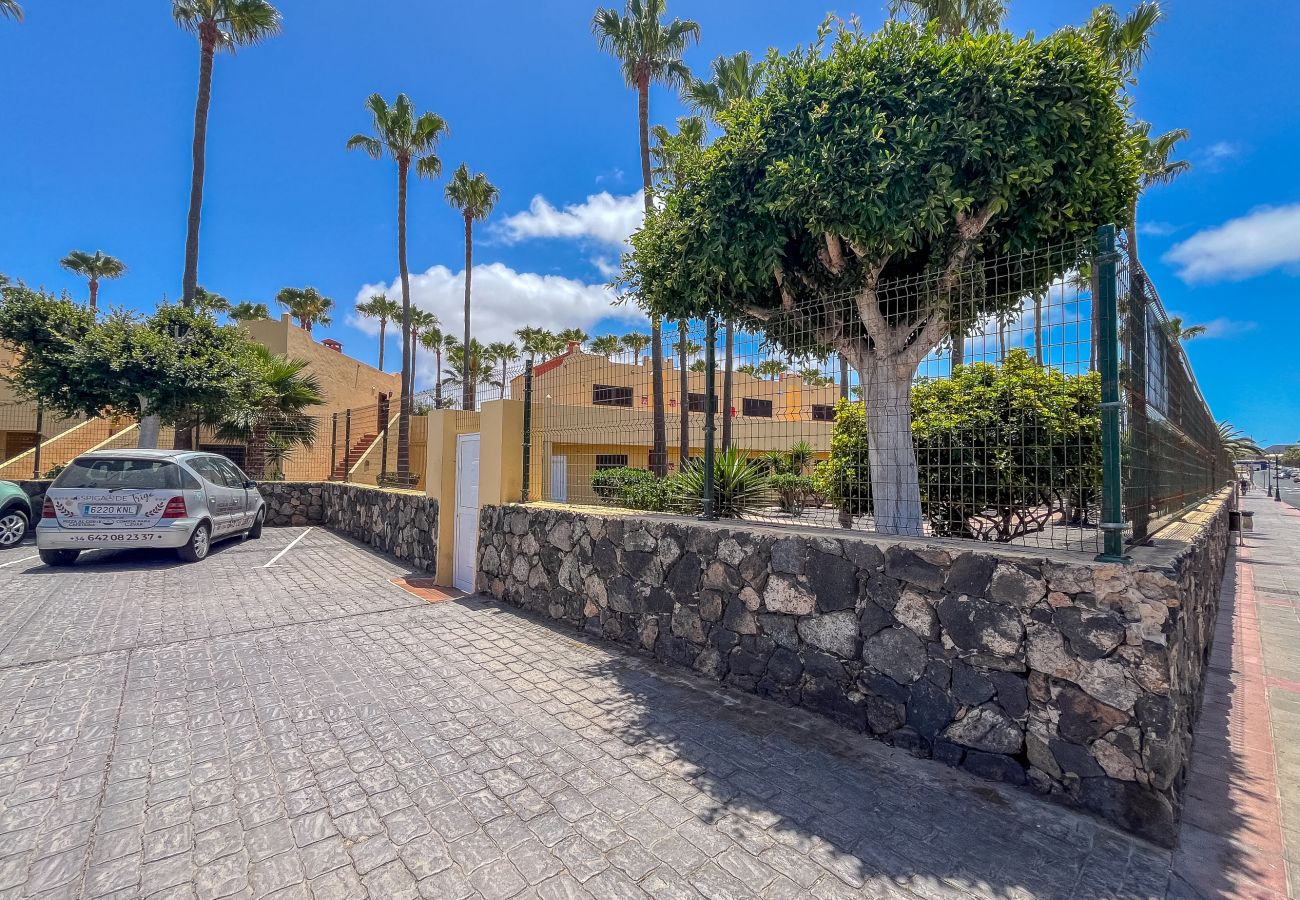 Apartamento en Corralejo - Apartamentos Oasis Royal Corralejo F312
