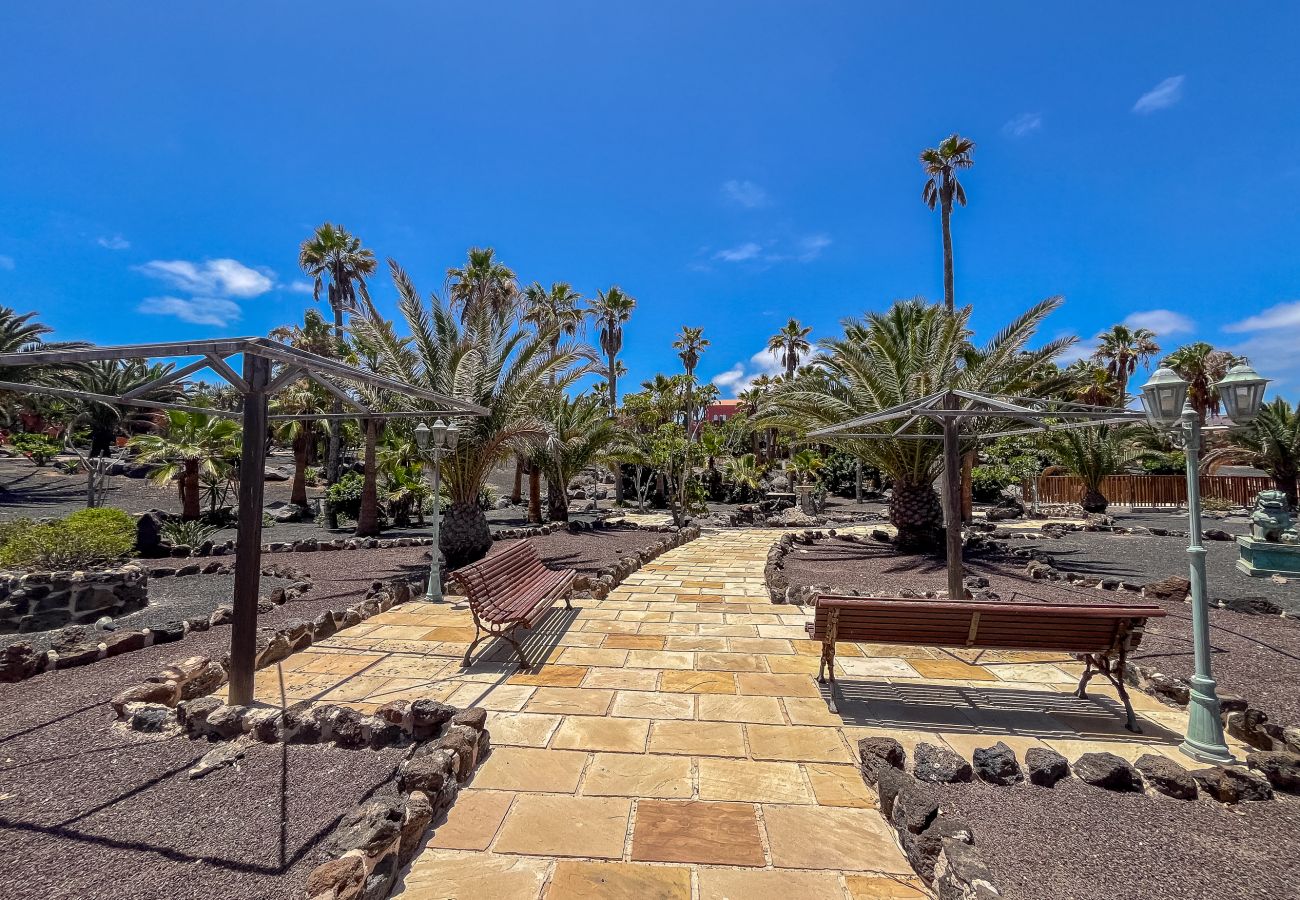 Apartamento en Corralejo - Apartamentos Oasis Royal Corralejo F312