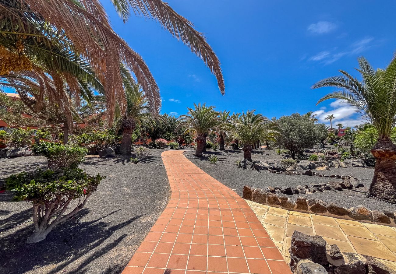Apartamento en Corralejo - Apartamentos Oasis Royal Corralejo F312