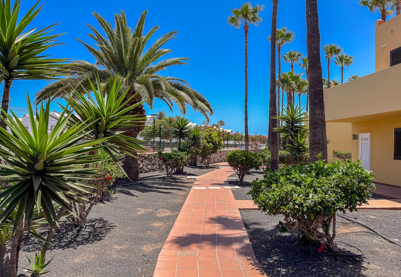Apartamento en Corralejo - Apartamentos Oasis Royal Corralejo F312