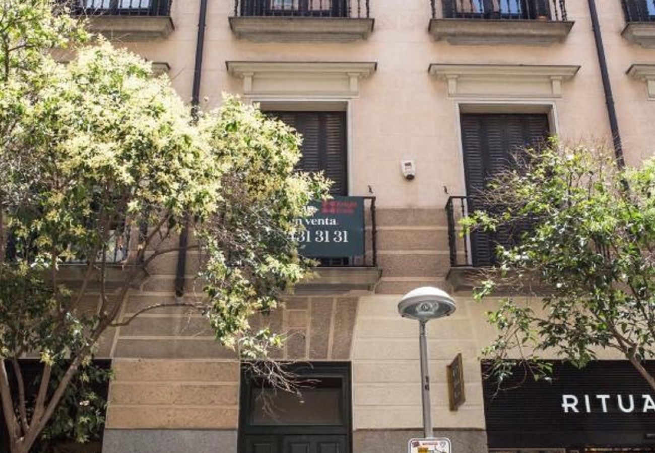 Apartamento en Madrid - Ático LOFT FNC223ºI