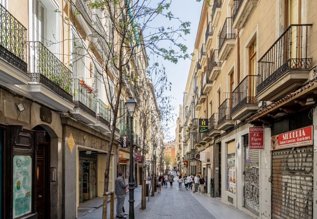 Apartamento en Madrid - M (DIN131C) Hermoso apartamento Plaza Zerolo Apartamento en Madrid - M (DIN131C) Hermoso apartamento Plaza Zerolo
