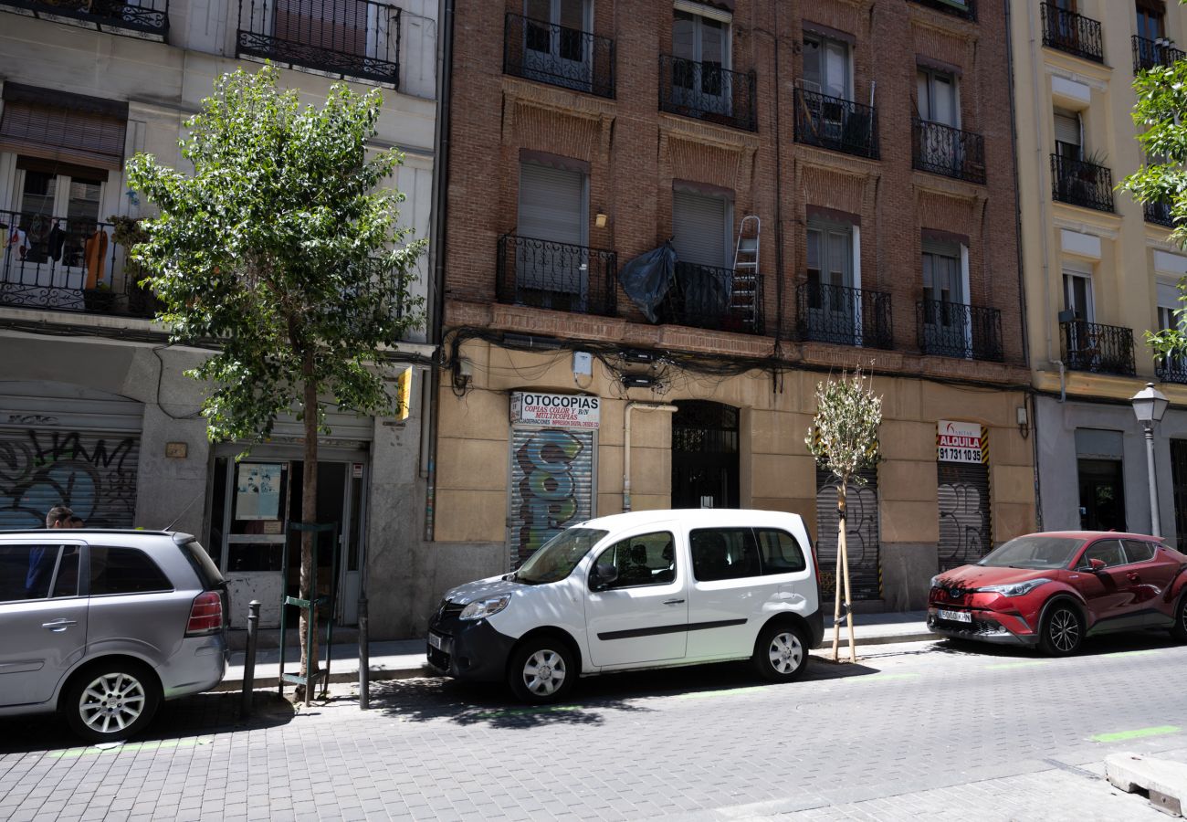 Apartamento en Madrid - Ap. Embajadores-Lavapiés AMP98