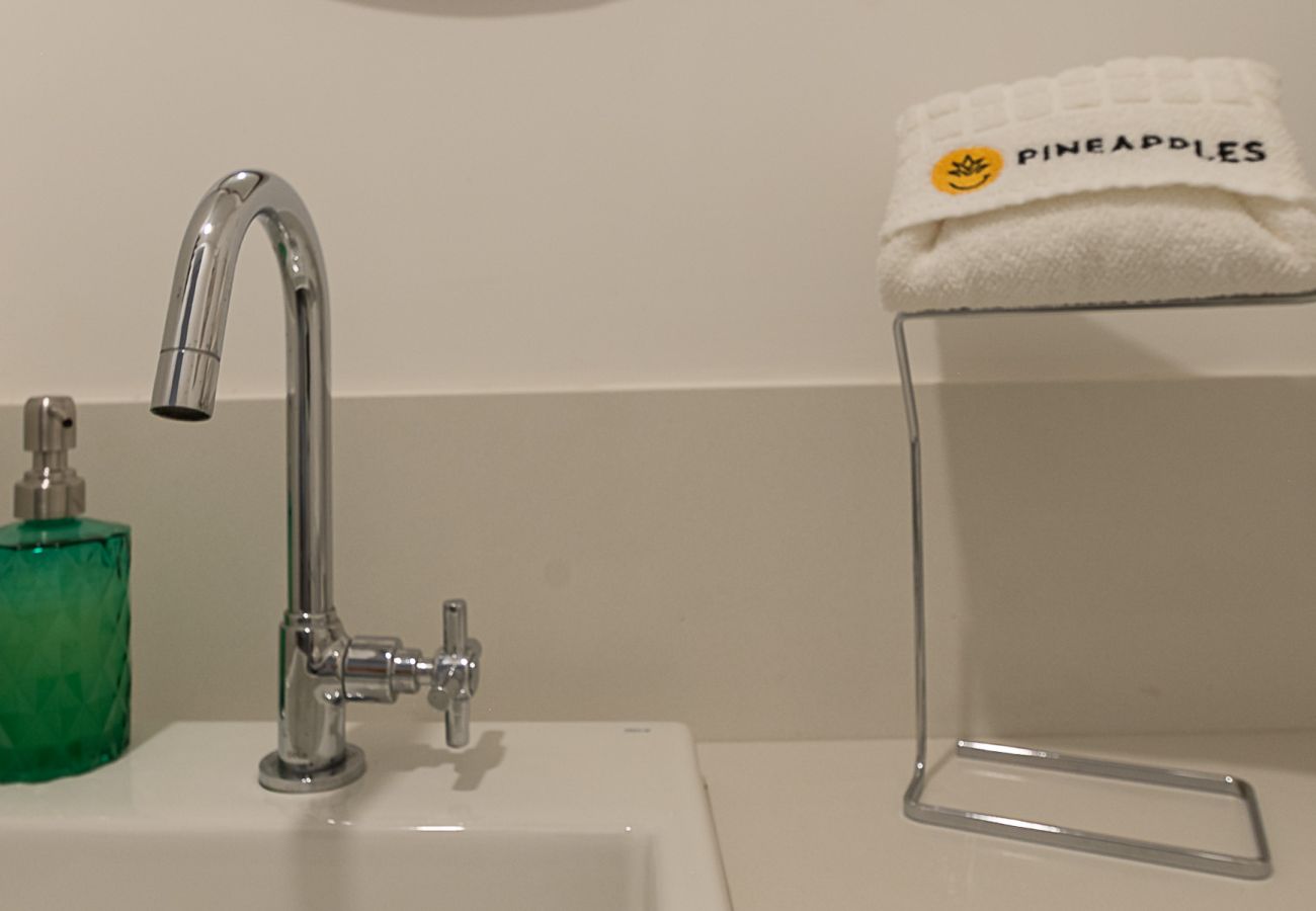 Apartamento en Rio de Janeiro - FA202 (Zona1)