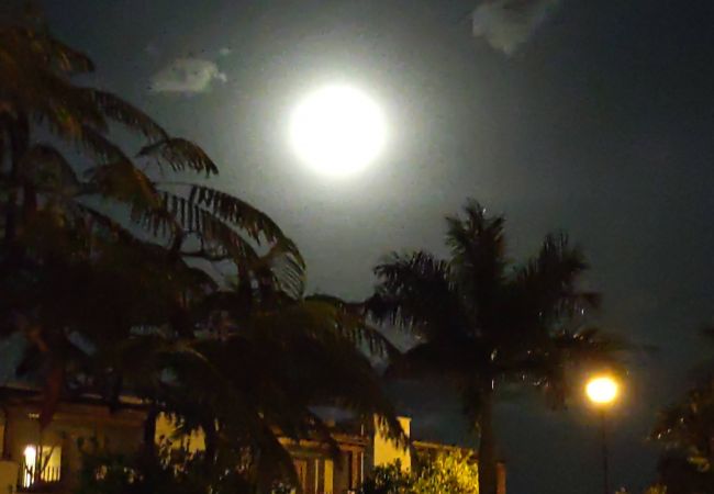 Residencial en Cuernavaca - MX (SFE205) Xochitepec Morelos Residencial en Cuernavaca - MX (SFE205) Xochitepec Morelos