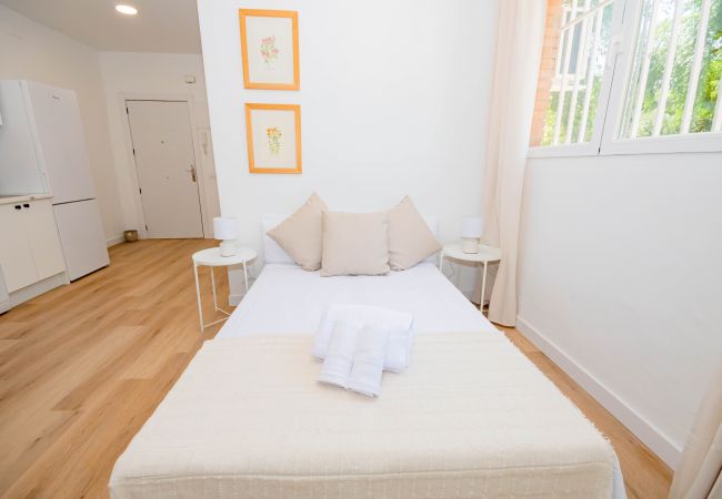 Apartamento en Madrid - Acogedor y coqueto apartamento de 3 dormitorios en Madrid M (ASR18)