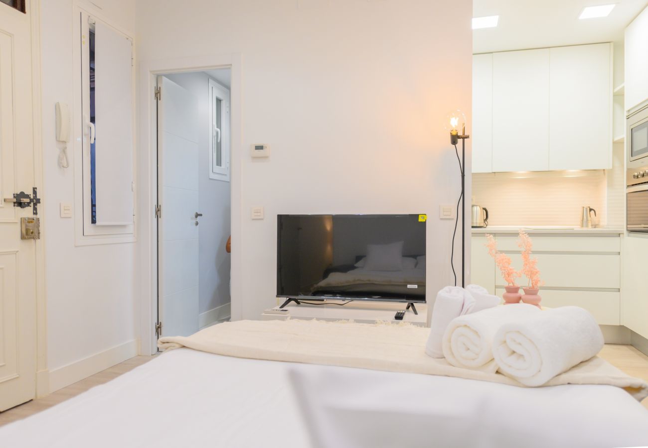 Apartamento en Madrid - COQUETO APARTAMENTO JUNTO INSTITUTO DE EMPRESA