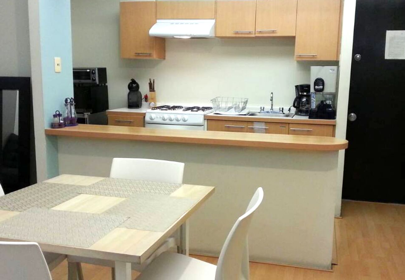 Apartamento en Ciudad de México - Functional apartment in downtown CDMX