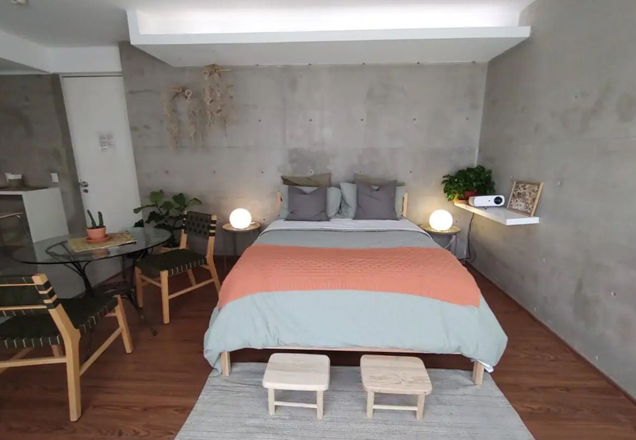 Apartamento en Ciudad de México - Magical loft between Condesa and Chapultepec