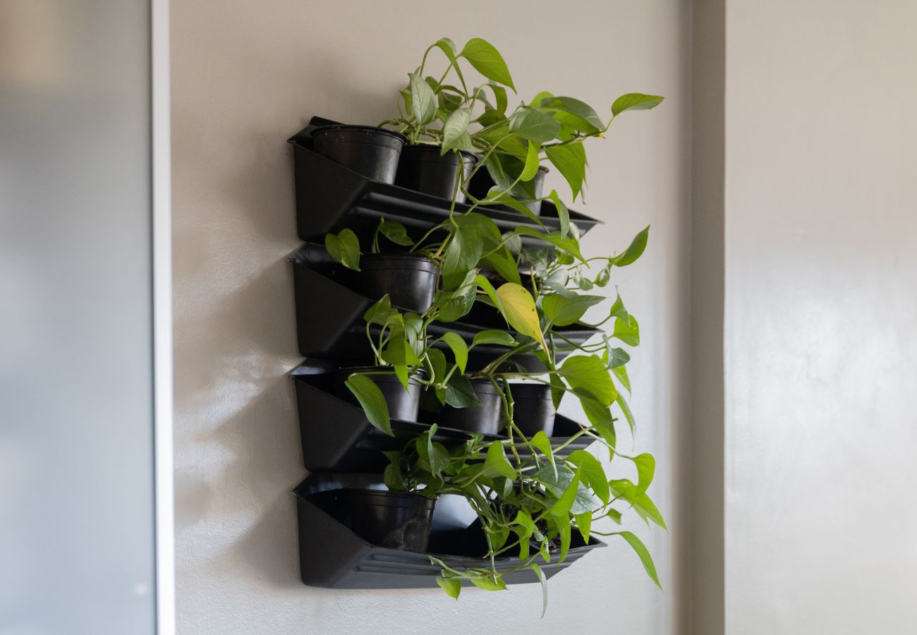 Apartamento en Barcelona - Bright, large and central apartment in Barcelona