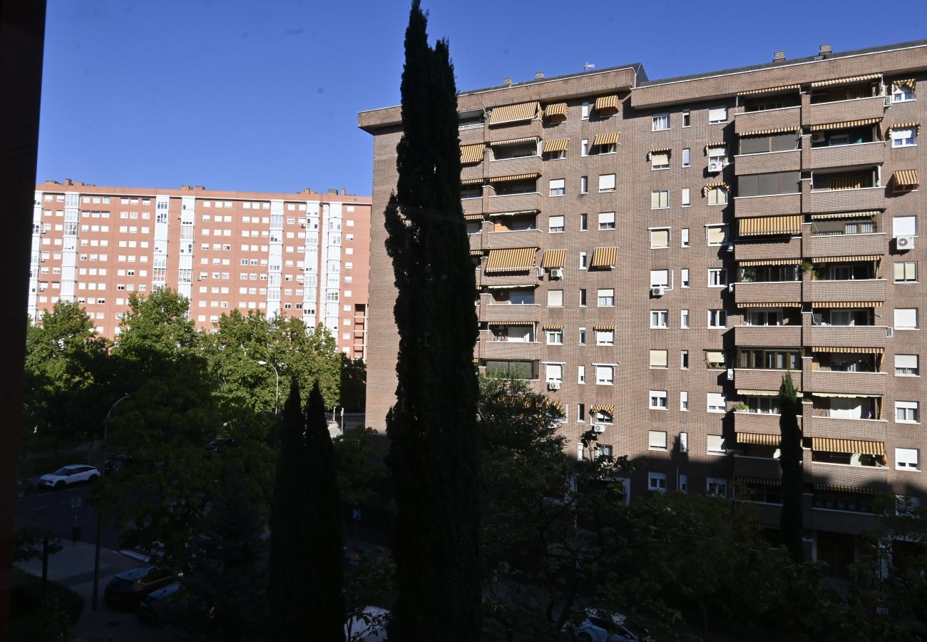 Estudio en Madrid - Luminoso y práctico apartamento en El Barrio del Pilar
