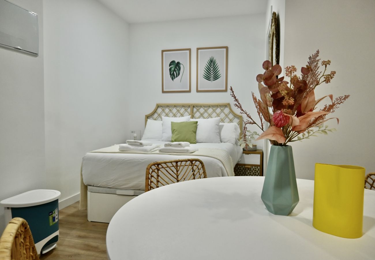 Estudio en Madrid - Encantador Estudio con Cama Doble y Sofá Cama, Patio Compartido MPE35A