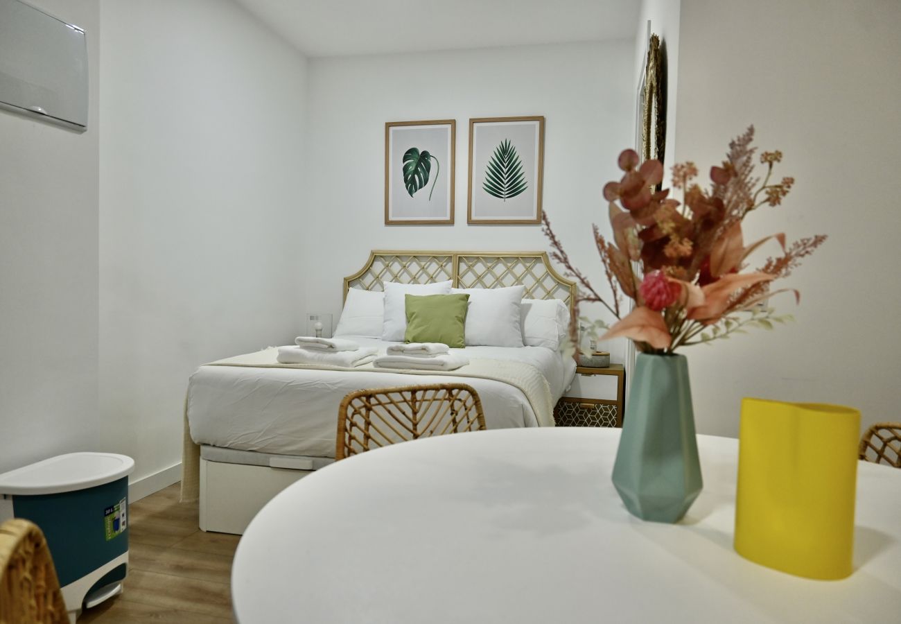 Estudio en Madrid - Encantador Estudio con Cama Doble y Sofá Cama, Patio Compartido MPE35A