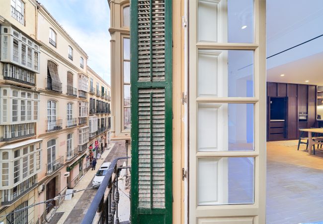 Apartamento en Málaga - iloftmalaga Duque de la Victoria
