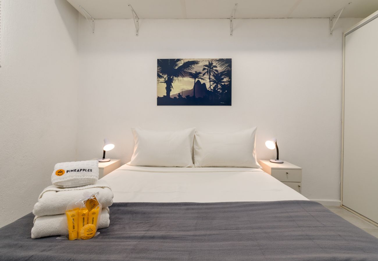Apartamento en Rio de Janeiro - NS101 (Zona1)