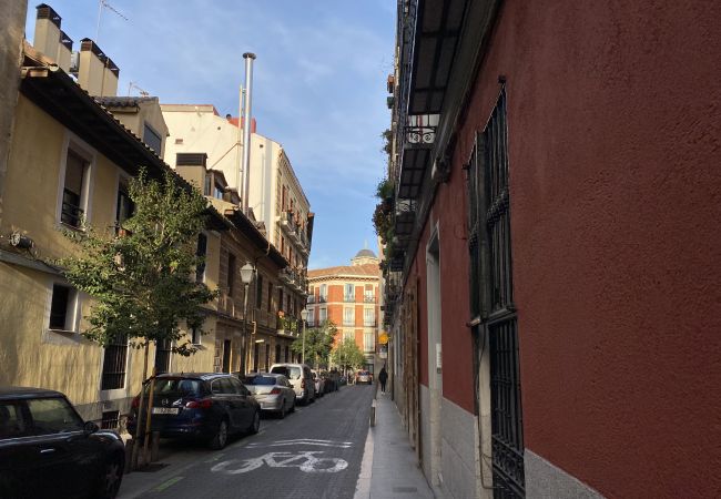 Apartamento en Madrid - M (CAB36) Céntrica y amplia vivienda de 4 dormitorios en La Latina