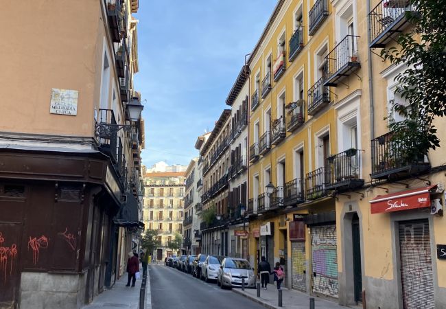 Apartamento en Madrid - M (PAL41) Amplia vivienda de tres dormitorios en L Apartamento en Madrid - M (PAL41) Amplia vivienda de tres dormitorios en L