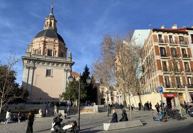 Apartamento en Madrid - M (PAL41) Amplia vivienda de tres dormitorios en L Apartamento en Madrid - M (PAL41) Amplia vivienda de tres dormitorios en L