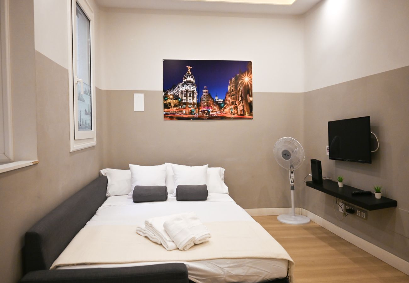 Apartamento en Madrid - M (PAL4) Amplia vivienda de tres dormitorios en La Latina
