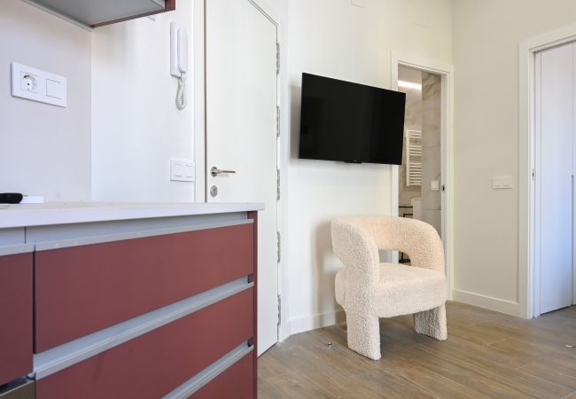 Estudio en Madrid - M (EST22) Céntrico y Luminoso Apartamento en Madri Estudio en Madrid - M (EST22) Céntrico y Luminoso Apartamento en Madri