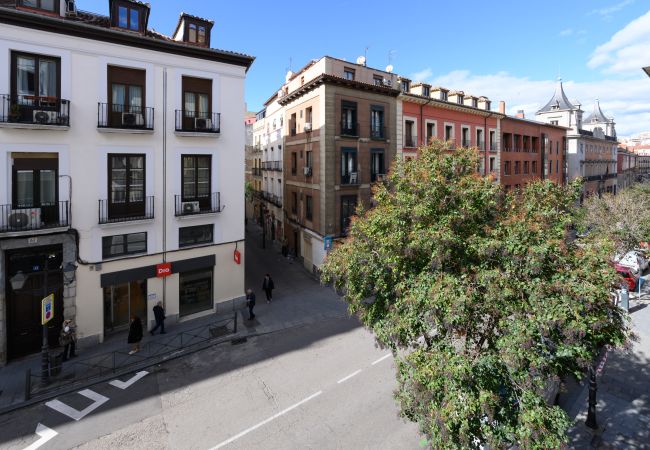Apartamento en Madrid - M (SBE282) Encanto y comodidad en el corazón de M Apartamento en Madrid - M (SBE282) Encanto y comodidad en el corazón de M