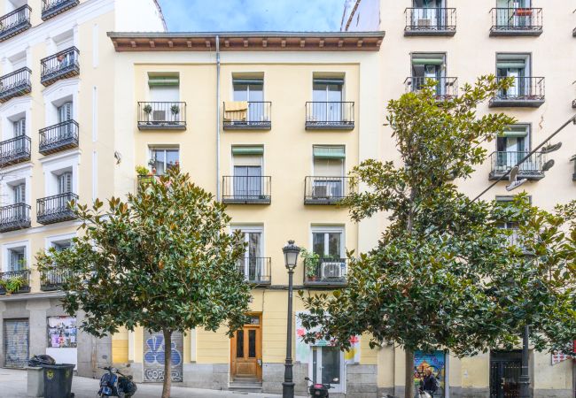Apartamento en Madrid - M (AMA272) Acogedor piso de 1 dormitorio a poco m Apartamento en Madrid - M (AMA272) Acogedor piso de 1 dormitorio a poco m