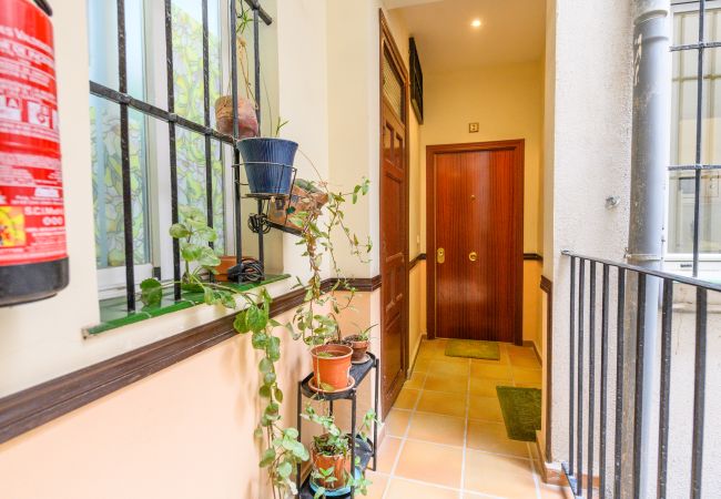 Apartamento en Madrid - M (AMA272) Acogedor piso de 1 dormitorio a poco m Apartamento en Madrid - M (AMA272) Acogedor piso de 1 dormitorio a poco m