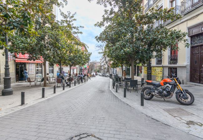 Apartamento en Madrid - M (AMA272) Acogedor piso de 1 dormitorio a poco m Apartamento en Madrid - M (AMA272) Acogedor piso de 1 dormitorio a poco m