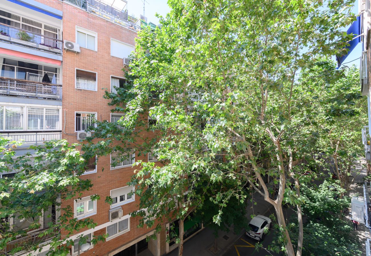 Apartamento en Madrid - M (NMO42HA)Espacio Versatil en Madrid : Alquiler m