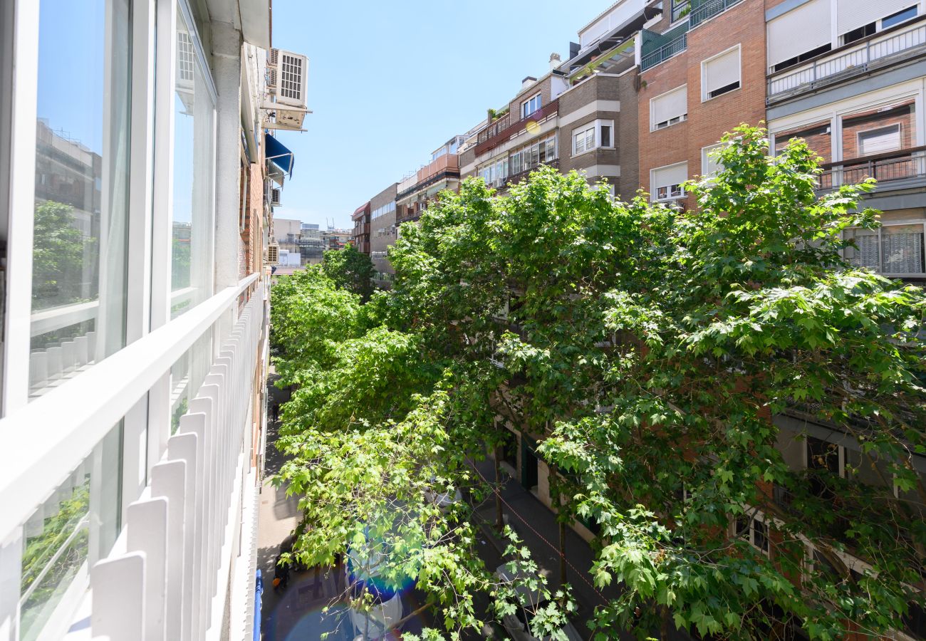 Apartamento en Madrid - M (NMO42HA)Espacio Versatil en Madrid : Alquiler m