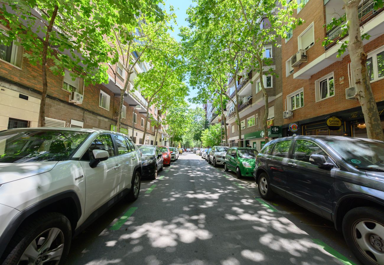Apartamento en Madrid - M (NMO42HA)Espacio Versatil en Madrid : Alquiler m
