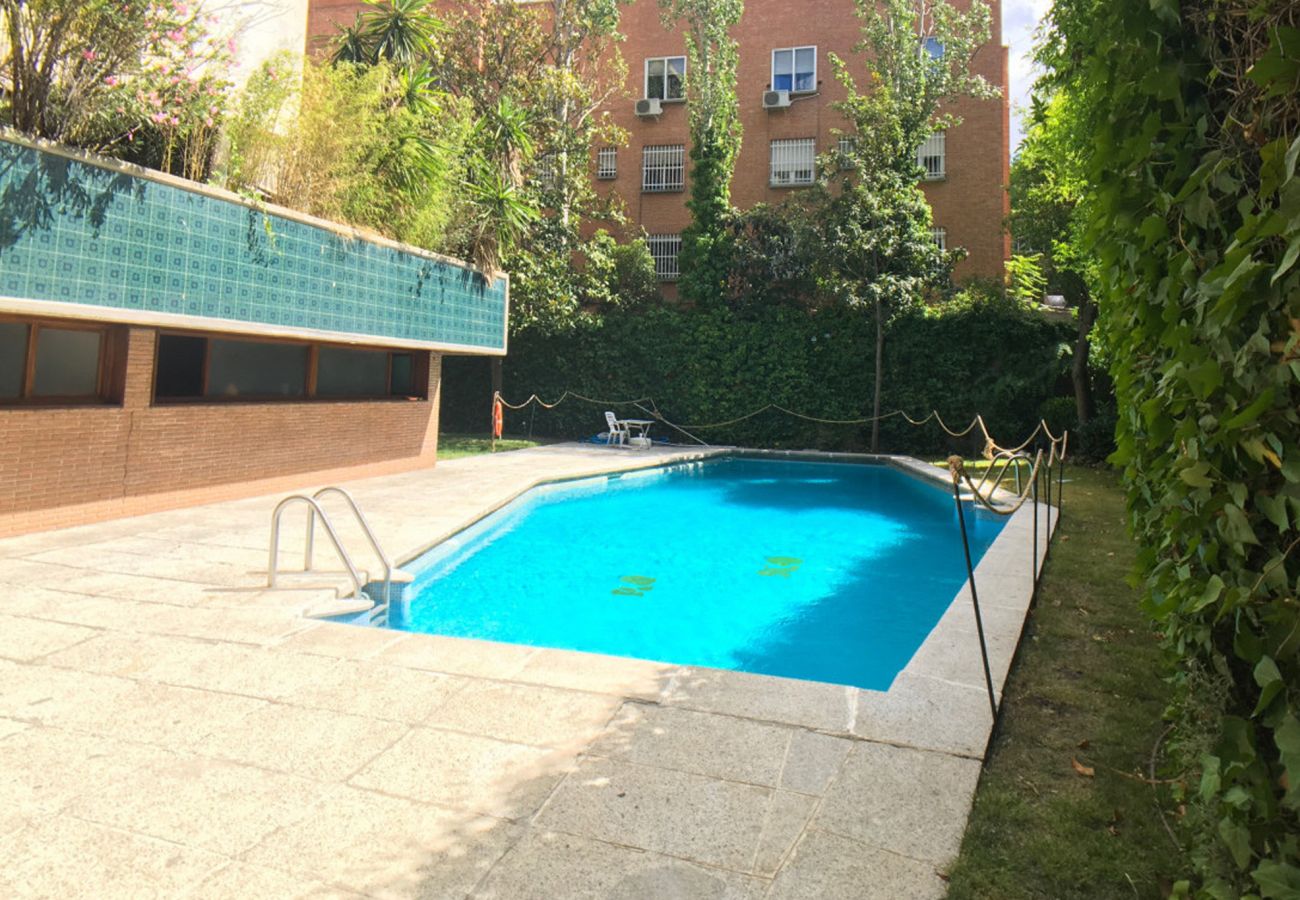 Apartamento en Madrid - M (MPI27613)Escapada perfecta en Madrid: Piso de 1