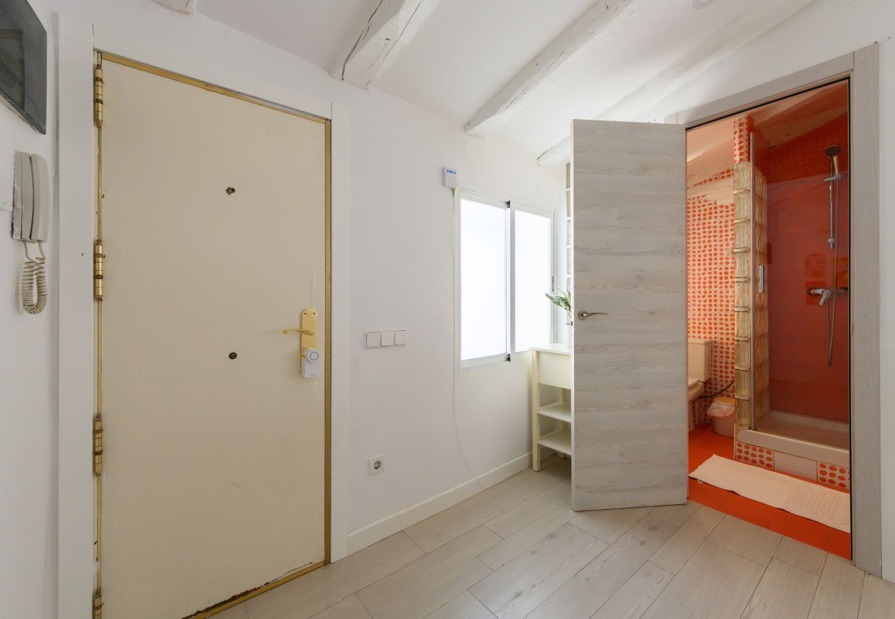 Apartamento en Madrid - M (SVI15) Piso tipo loft de 1 dormitorio en el ce