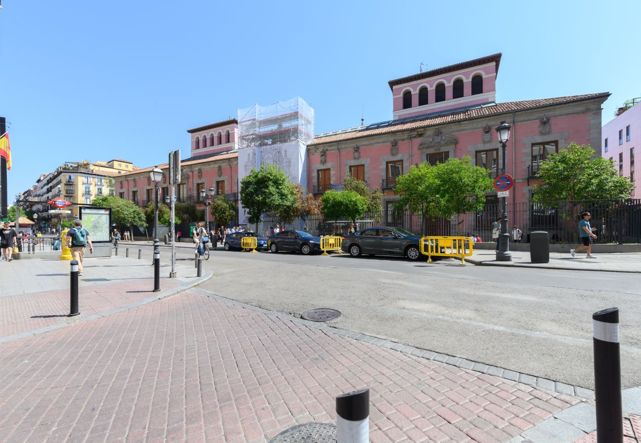 Apartamento en Madrid - M (SVI15) Piso tipo loft de 1 dormitorio en el ce