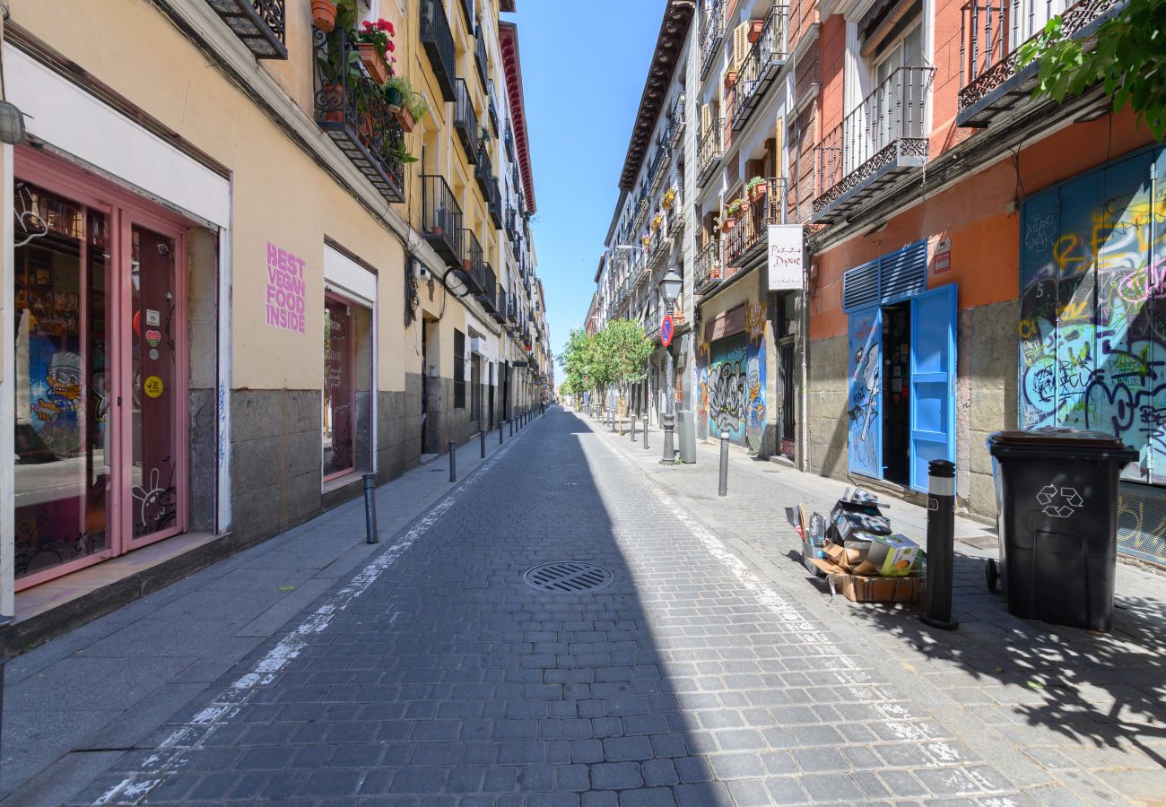 Apartamento en Madrid - M (SVI15) Piso tipo loft de 1 dormitorio en el ce