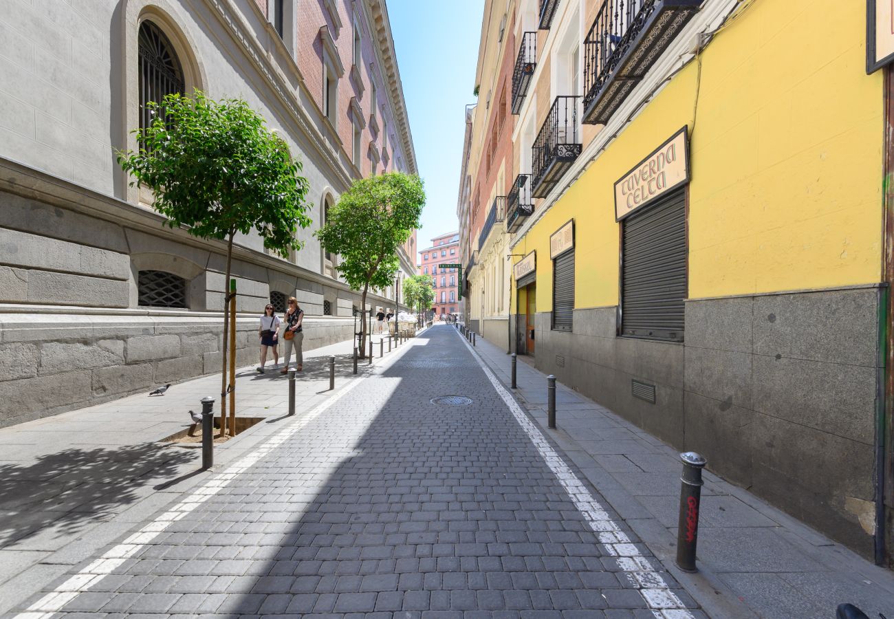 Apartamento en Madrid - M (SVI15) Piso tipo loft de 1 dormitorio en el ce