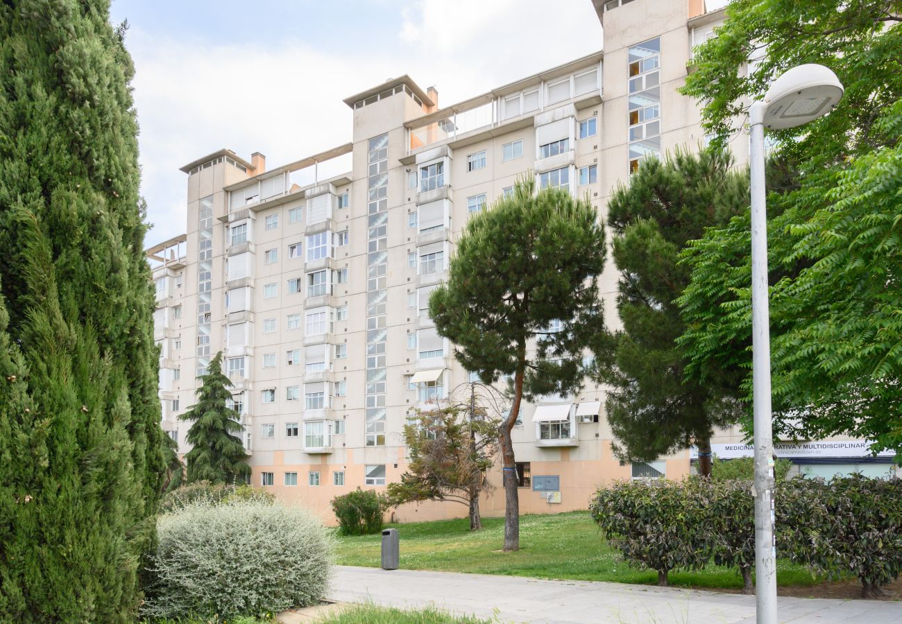 Apartamento en Madrid - M (VDZ36A) Piso moderno de 1 dormitorio con ventan