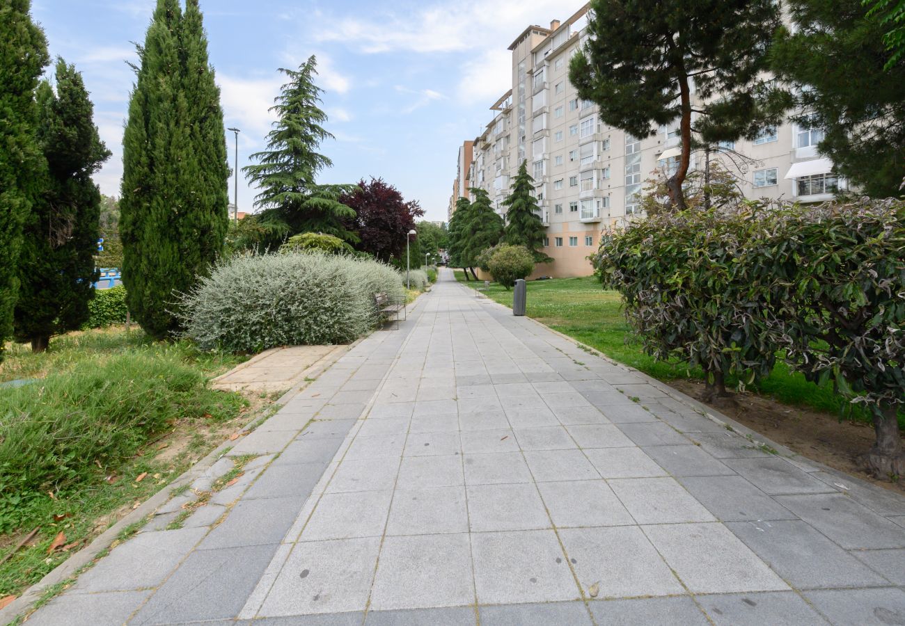 Apartamento en Madrid - M (VDZ36A) Piso moderno de 1 dormitorio con ventan